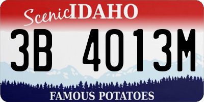 ID license plate 3B4013M