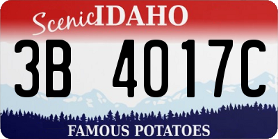 ID license plate 3B4017C