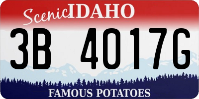 ID license plate 3B4017G