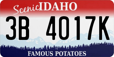 ID license plate 3B4017K