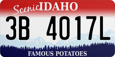 ID license plate 3B4017L