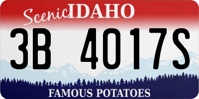 ID license plate 3B4017S