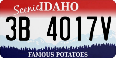 ID license plate 3B4017V