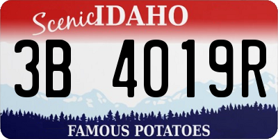 ID license plate 3B4019R
