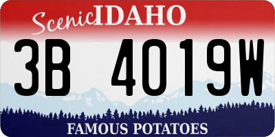 ID license plate 3B4019W