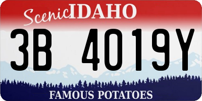 ID license plate 3B4019Y