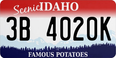 ID license plate 3B4020K