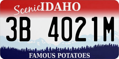 ID license plate 3B4021M