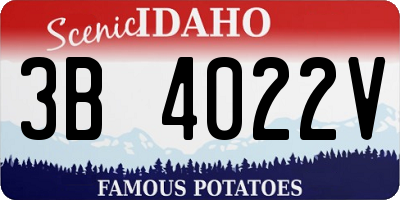 ID license plate 3B4022V