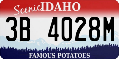 ID license plate 3B4028M