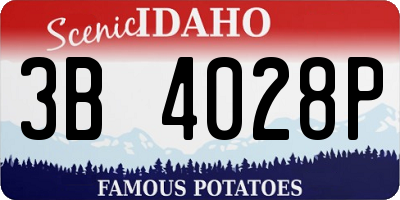 ID license plate 3B4028P