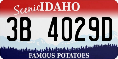 ID license plate 3B4029D
