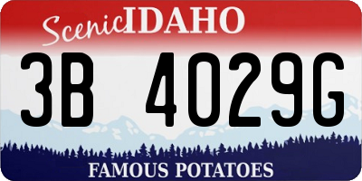 ID license plate 3B4029G