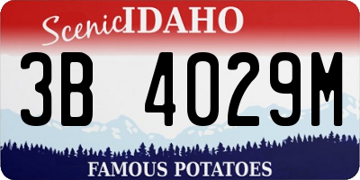 ID license plate 3B4029M