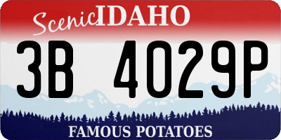 ID license plate 3B4029P