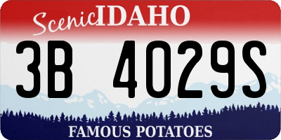 ID license plate 3B4029S