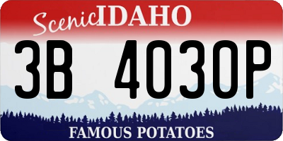 ID license plate 3B4030P