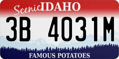 ID license plate 3B4031M