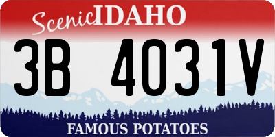 ID license plate 3B4031V