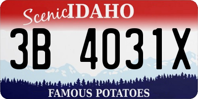 ID license plate 3B4031X
