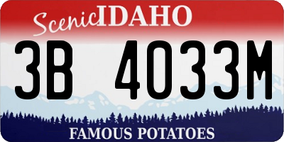 ID license plate 3B4033M