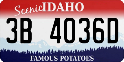 ID license plate 3B4036D