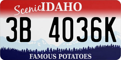 ID license plate 3B4036K