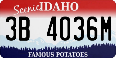 ID license plate 3B4036M