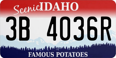 ID license plate 3B4036R