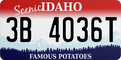 ID license plate 3B4036T