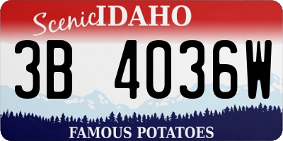 ID license plate 3B4036W