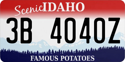 ID license plate 3B4040Z