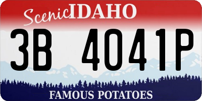 ID license plate 3B4041P