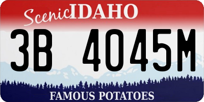 ID license plate 3B4045M