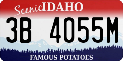 ID license plate 3B4055M