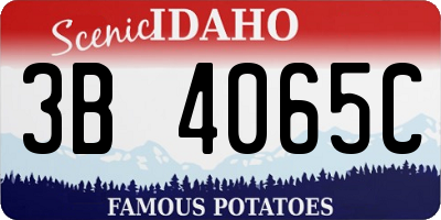 ID license plate 3B4065C