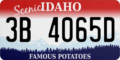 ID license plate 3B4065D