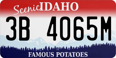 ID license plate 3B4065M