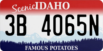ID license plate 3B4065N