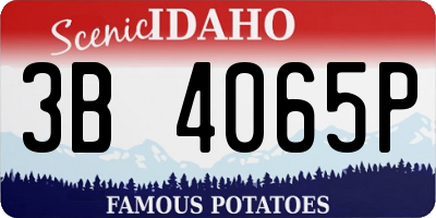 ID license plate 3B4065P
