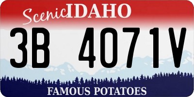 ID license plate 3B4071V