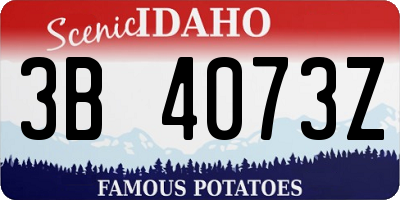 ID license plate 3B4073Z