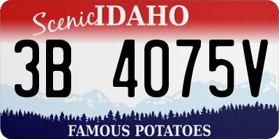 ID license plate 3B4075V