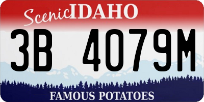 ID license plate 3B4079M