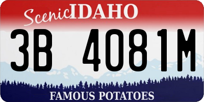 ID license plate 3B4081M