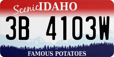ID license plate 3B4103W