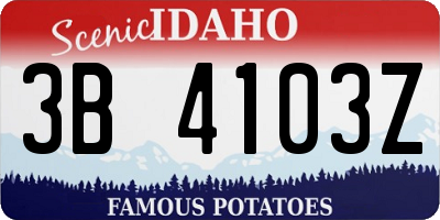 ID license plate 3B4103Z