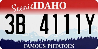 ID license plate 3B4111Y
