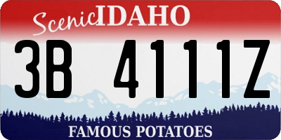 ID license plate 3B4111Z