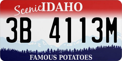 ID license plate 3B4113M
